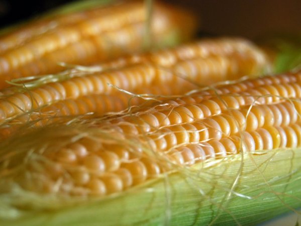 Россия вводит запрет на ввоз кукурузы и сои из США с 15 февраля